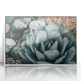 Agave Plant Farmhouse Wall Art – Rustic Country Style Decor Print