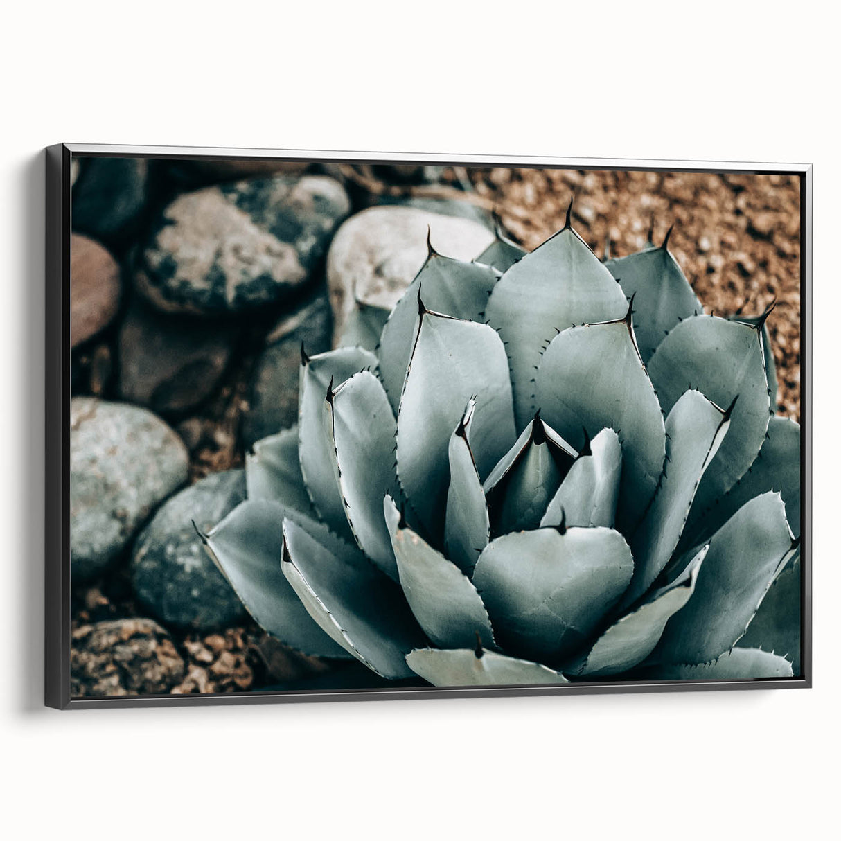 Agave Plant Farmhouse Wall Art – Rustic Country Style Decor Print