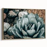 Agave Plant Farmhouse Wall Art – Rustic Country Style Decor Print