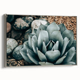 Agave Plant Farmhouse Wall Art – Rustic Country Style Decor Print