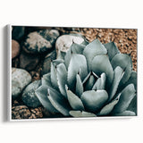 Agave Plant Farmhouse Wall Art – Rustic Country Style Decor Print