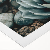 Agave Plant Farmhouse Wall Art – Rustic Country Style Decor Print