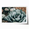 Agave Plant Farmhouse Wall Art – Rustic Country Style Decor Print