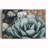 Agave Plant Farmhouse Wall Art – Rustic Country Style Decor Print