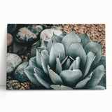 Agave Plant Farmhouse Wall Art – Rustic Country Style Decor Print
