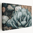 Agave Plant Farmhouse Wall Art – Rustic Country Style Decor Print