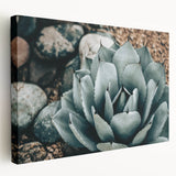 Agave Plant Farmhouse Wall Art – Rustic Country Style Decor Print