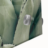 Agave Leaf Farmhouse Wall Art – Rustic Country Style Decor Print