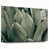 Agave Leaf Farmhouse Wall Art – Rustic Country Style Decor Print