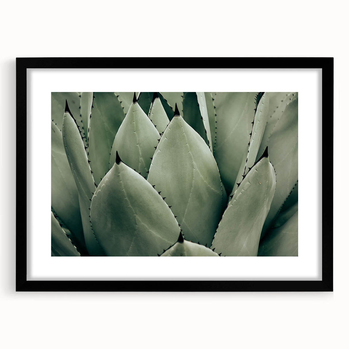 Agave Leaf Farmhouse Wall Art – Rustic Country Style Decor Print