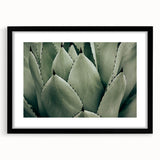 Agave Leaf Farmhouse Wall Art – Rustic Country Style Decor Print