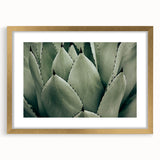 Agave Leaf Farmhouse Wall Art – Rustic Country Style Decor Print