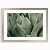 Agave Leaf Farmhouse Wall Art – Rustic Country Style Decor Print