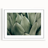 Agave Leaf Farmhouse Wall Art – Rustic Country Style Decor Print