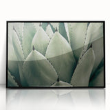 Agave Leaf Farmhouse Wall Art – Rustic Country Style Decor Print