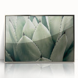 Agave Leaf Farmhouse Wall Art – Rustic Country Style Decor Print