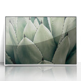 Agave Leaf Farmhouse Wall Art – Rustic Country Style Decor Print