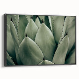 Agave Leaf Farmhouse Wall Art – Rustic Country Style Decor Print