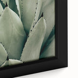 Agave Leaf Farmhouse Wall Art – Rustic Country Style Decor Print