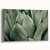 Agave Leaf Farmhouse Wall Art – Rustic Country Style Decor Print