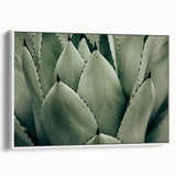 Agave Leaf Farmhouse Wall Art – Rustic Country Style Decor Print