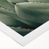 Agave Leaf Farmhouse Wall Art – Rustic Country Style Decor Print