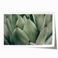 Agave Leaf Farmhouse Wall Art – Rustic Country Style Decor Print