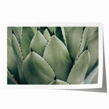 Agave Leaf Farmhouse Wall Art – Rustic Country Style Decor Print