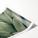 Agave Leaf Farmhouse Wall Art – Rustic Country Style Decor Print