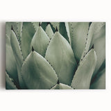Agave Leaf Farmhouse Wall Art – Rustic Country Style Decor Print