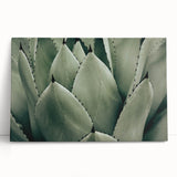 Agave Leaf Farmhouse Wall Art – Rustic Country Style Decor Print