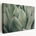 Agave Leaf Farmhouse Wall Art – Rustic Country Style Decor Print