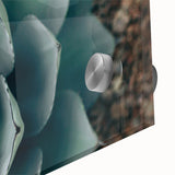 Agave Plant Close-Up Farmhouse Wall Art – Rustic Country Style Decor