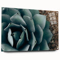 Agave Plant Close-Up Farmhouse Wall Art – Rustic Country Style Decor