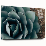 Agave Plant Close-Up Farmhouse Wall Art – Rustic Country Style Decor