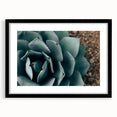 Agave Plant Close-Up Farmhouse Wall Art – Rustic Country Style Decor