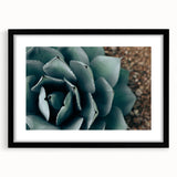 Agave Plant Close-Up Farmhouse Wall Art – Rustic Country Style Decor