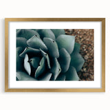 Agave Plant Close-Up Farmhouse Wall Art – Rustic Country Style Decor
