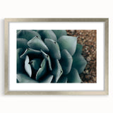 Agave Plant Close-Up Farmhouse Wall Art – Rustic Country Style Decor
