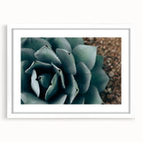 Agave Plant Close-Up Farmhouse Wall Art – Rustic Country Style Decor