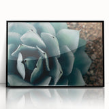 Agave Plant Close-Up Farmhouse Wall Art – Rustic Country Style Decor