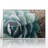 Agave Plant Close-Up Farmhouse Wall Art – Rustic Country Style Decor