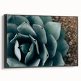 Agave Plant Close-Up Farmhouse Wall Art – Rustic Country Style Decor