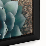 Agave Plant Close-Up Farmhouse Wall Art – Rustic Country Style Decor