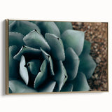 Agave Plant Close-Up Farmhouse Wall Art – Rustic Country Style Decor