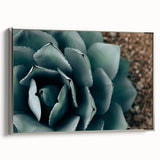 Agave Plant Close-Up Farmhouse Wall Art – Rustic Country Style Decor
