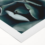 Agave Plant Close-Up Farmhouse Wall Art – Rustic Country Style Decor