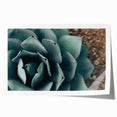 Agave Plant Close-Up Farmhouse Wall Art – Rustic Country Style Decor