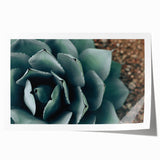 Agave Plant Close-Up Farmhouse Wall Art – Rustic Country Style Decor