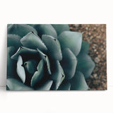 Agave Plant Close-Up Farmhouse Wall Art – Rustic Country Style Decor